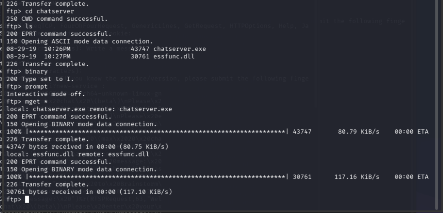 FTP mget downloading chatserver.exe and essfunc.dll